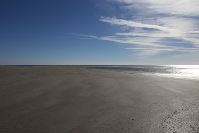 Low Tide at Gould's Inlet