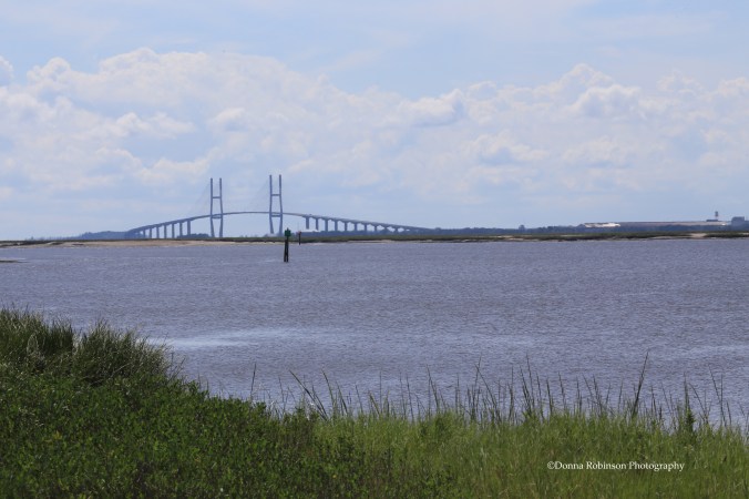 IMG_7234 092616 Sidney Lanier Bridge copyrigh