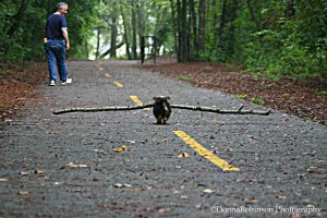 Anything is possible