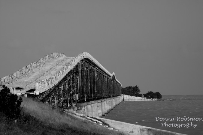 4143019265_e5e34c6574_o