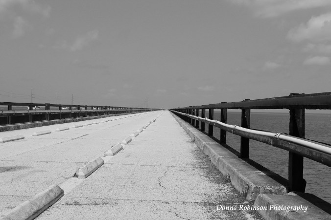 IMG_0576 042413 Old 7 Mile Bridge