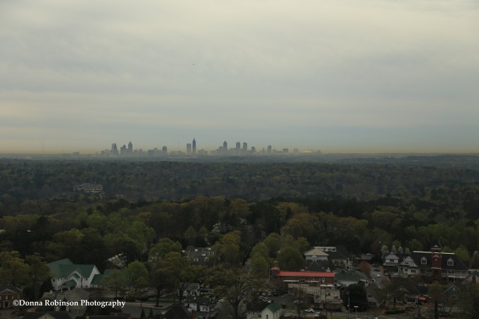 IMG_1217 031816 Pollen