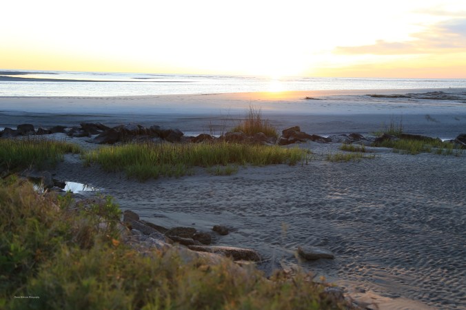 IMG_1691 040916 Sunrise Goulds Inlet
