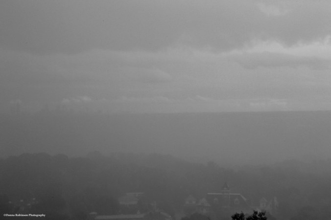 IMG_2849 060516 rain