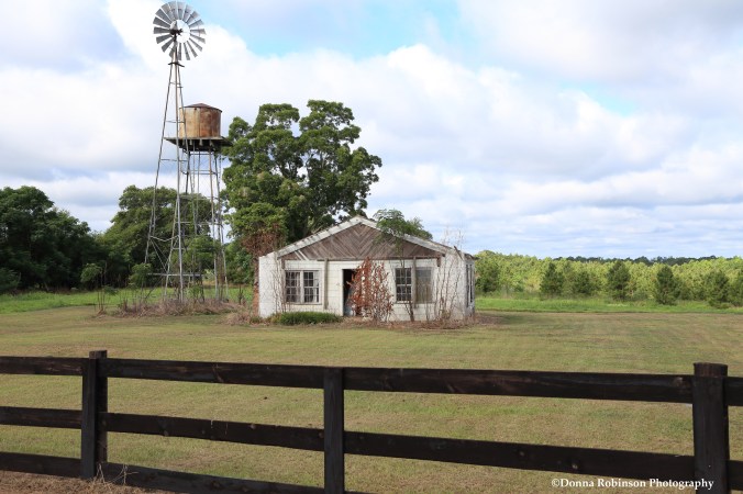 IMG_3371 070116 Gone But Not Forgotten