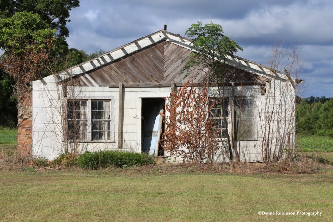 IMG_3375 Gone but not forgotten