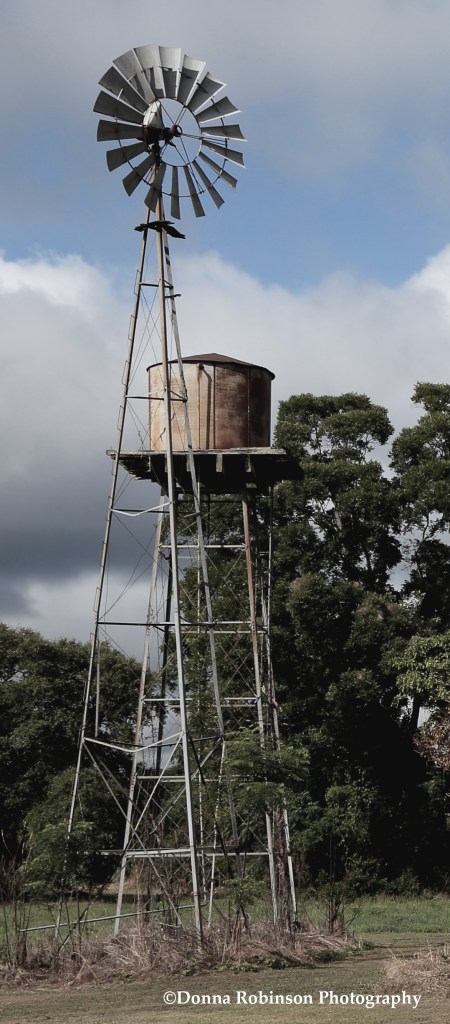 IMG_3376 070116 Gone But Not Forgotten