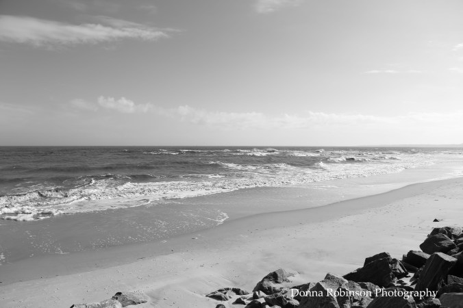 img_6685-king-prince-ssi-022317