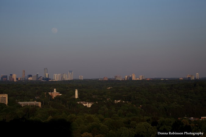 IMG_9099 051117 Full Moon Rising copyright