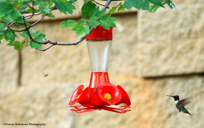 IMG_0586 071517 God Winked