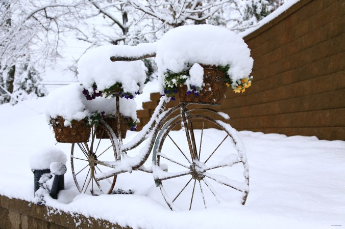 IMG_3825 120917 Atlanta Snow Copyright