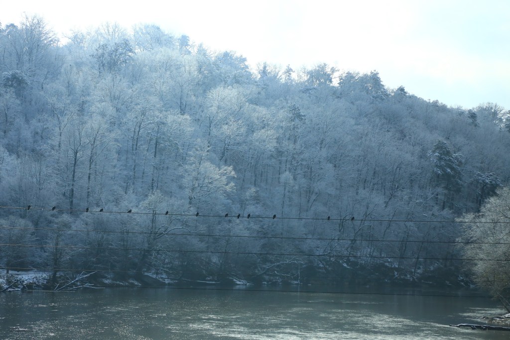 IMG_3866 120917 Atlanta Snow copyright