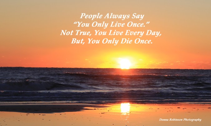 IMG_5066 Live Every Day Fernandina Beach