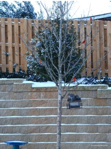 IMG_3919 011718 Atlanta Snow