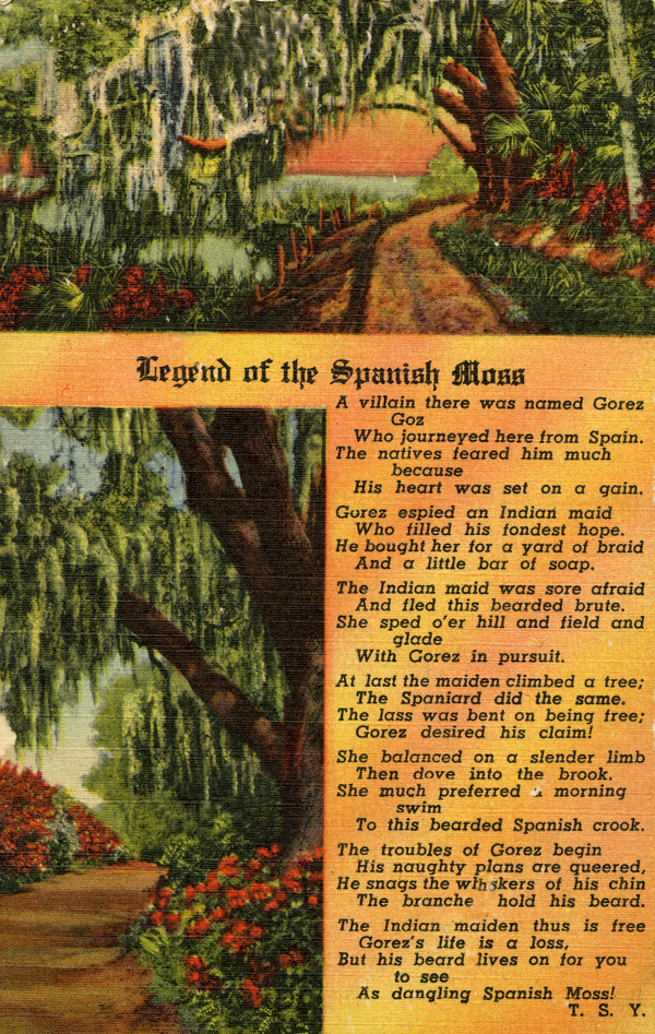The Legend of Spanish Moss