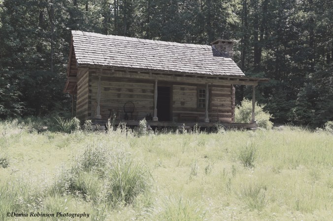 IMG_5302 051118 Swan House Cabin copyright