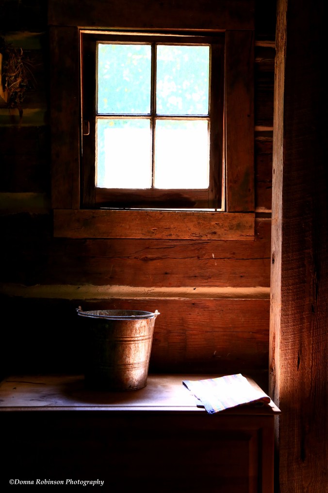 IMG_5317 051118 Swan House Log Cabin copyright