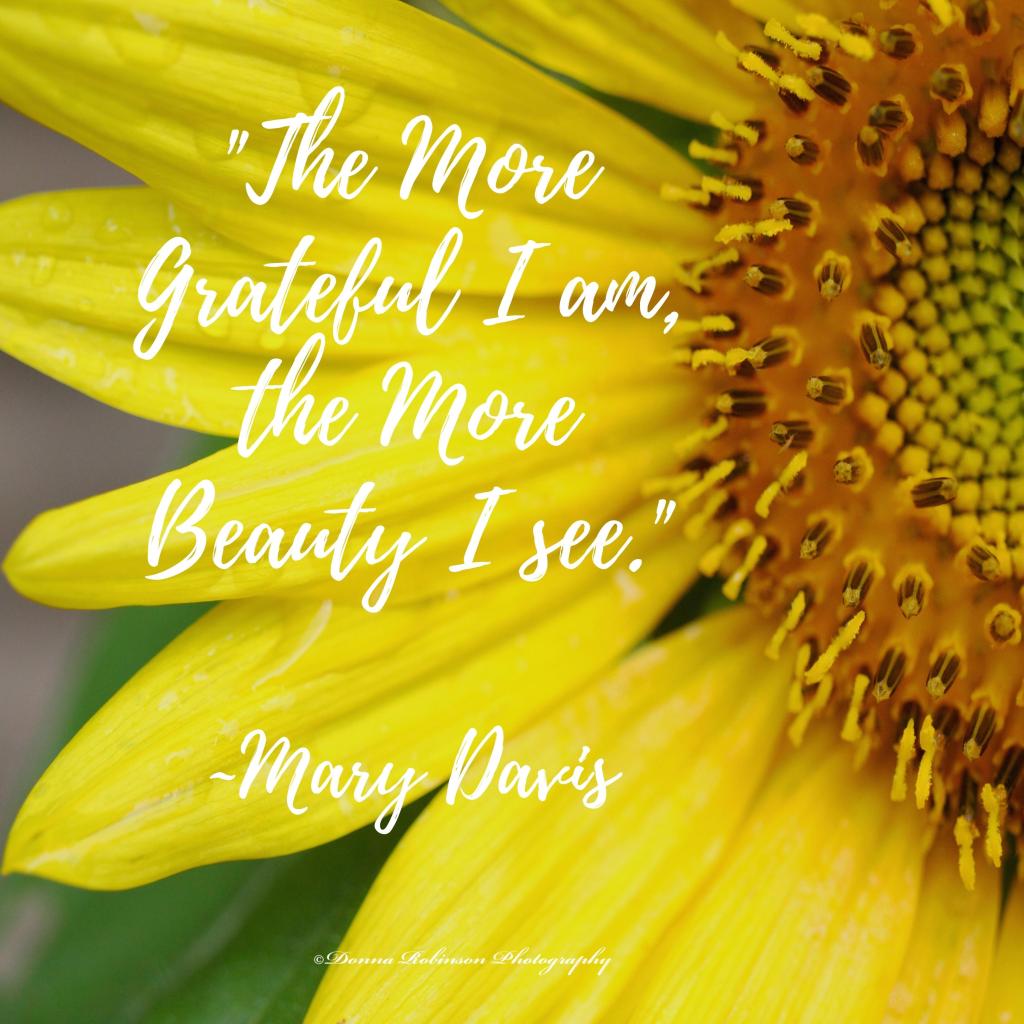 "The More Grateful I am, the More Beauty I see." Quote by Mary Davis

