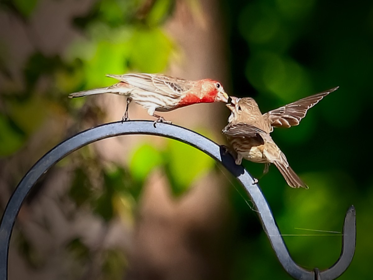 Sunday Vibes – Love is in the&nbsp;Air