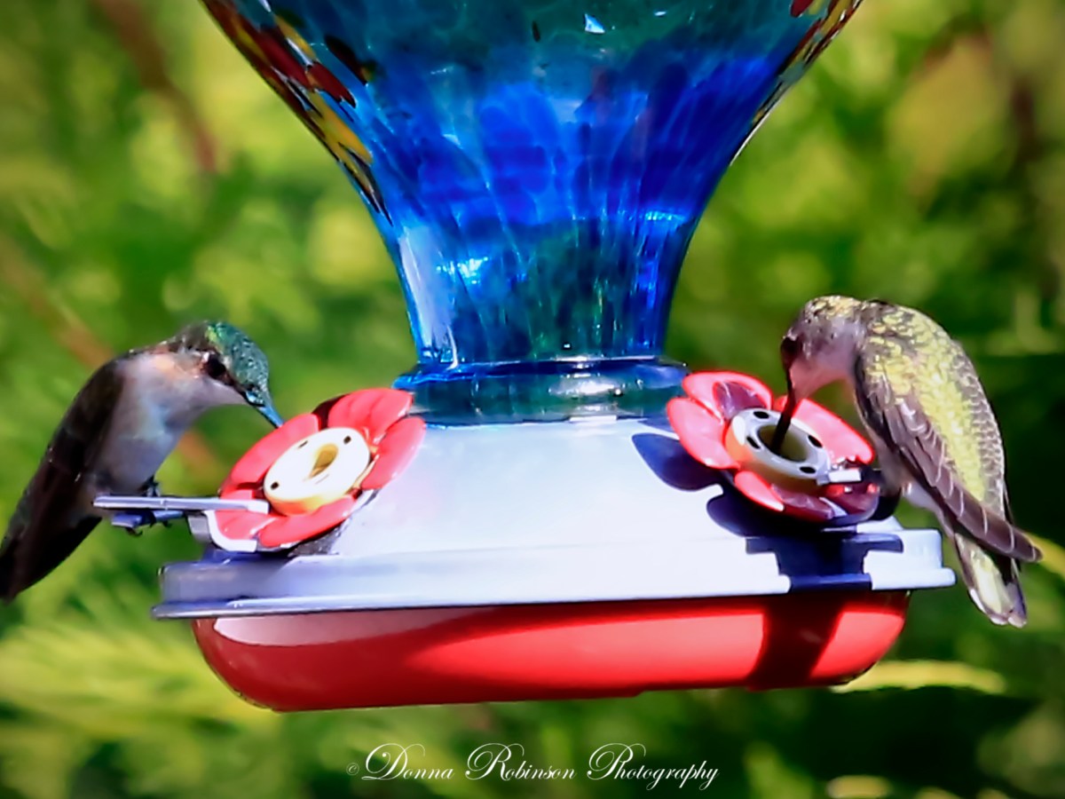 Farewell to the&nbsp;Hummers